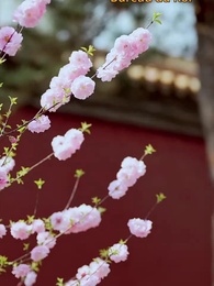 Le Sang Doré de la Cour - Episode 7