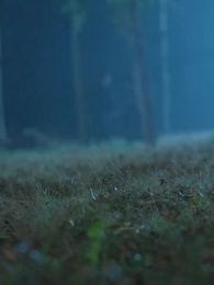 疫病神にも福来る - Episode 52