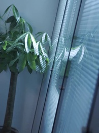 第54集 - 俏總裁的貼身保鏢