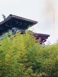 被父皇找回後，開啟虐渣人生 - Episode 2