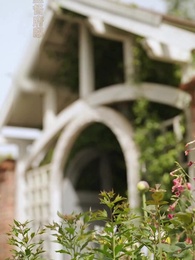 第31集 - 天降好孕,壹媽五寶四個爹