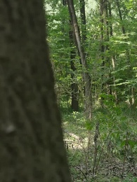 第67集 - 我乃修仙者