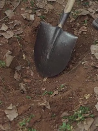 金山不如男兒脊 - Episode 6