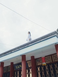 第11集 - 明星老婆的貼身保鑣