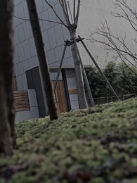 超級鑒寶師 - Episode 62