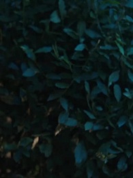 Second Life, the Godfather's Wife - Episode 26