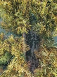 Pes Ettim - Episode 15