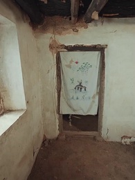 第14集 - 金山不如男兒脊