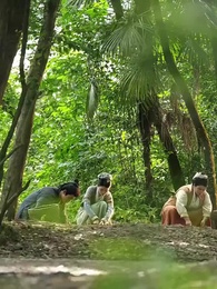 ジャガイモ麺で 富と皇子を手に入れる - Episode 47