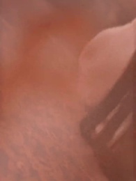 第71集 - 逍遙贅婿