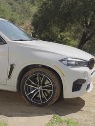 Bölüm 21 - Alfa'nın Evcilleştirme Rehberi