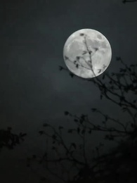 Luna'nın terk edilen kilitlik Bedeni - Episode 1