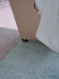 폭풍 앞에서 꺼진 사랑 - Episode 10