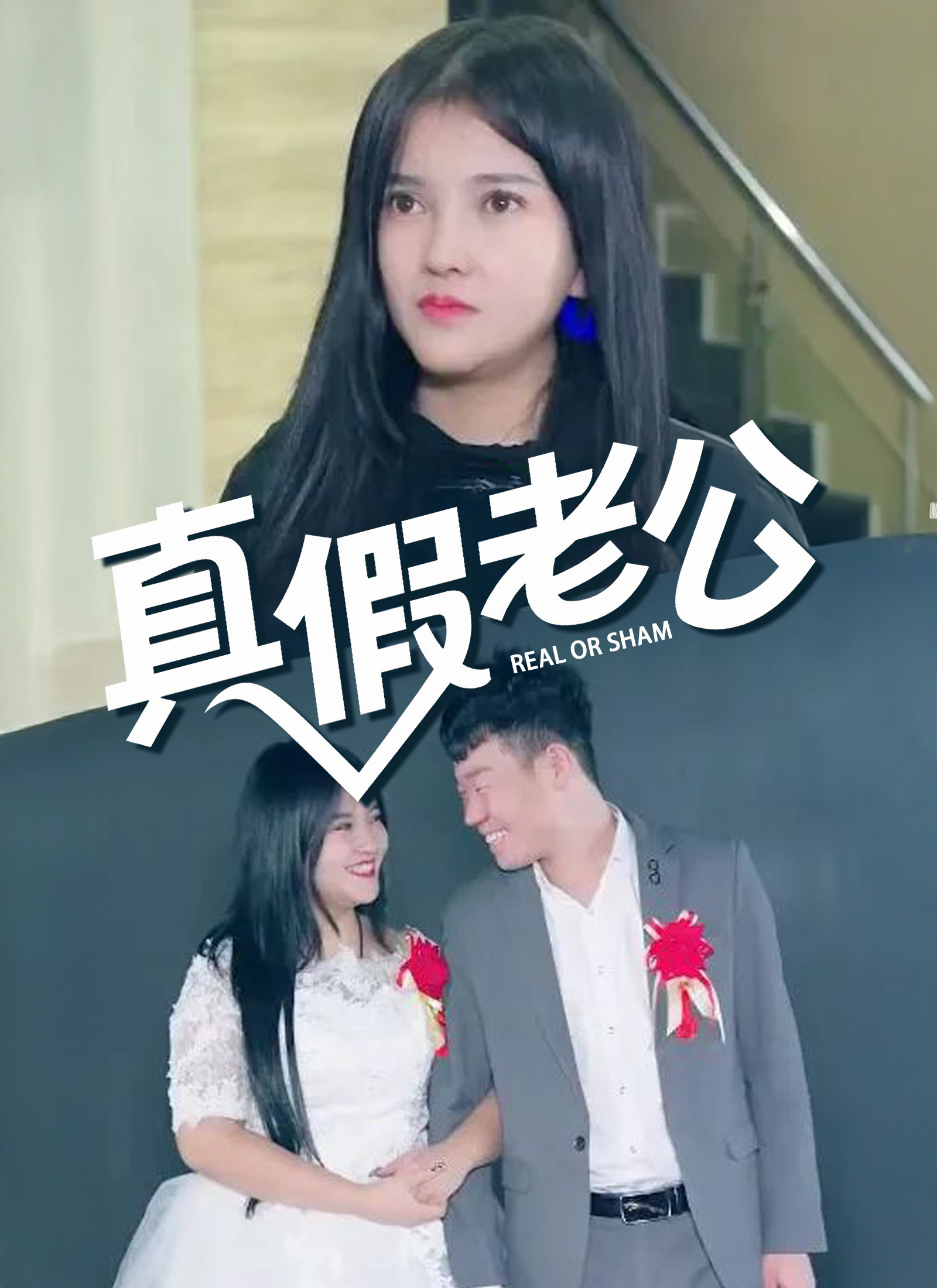 《真假老公》封面