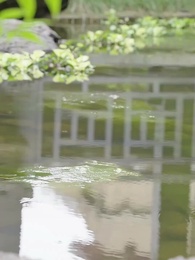 Bölüm 33 - Sonsuz Sevgi ve Güç