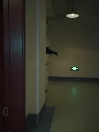 Global Escape - Episode 5