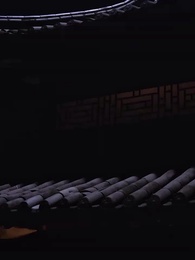 第11集 - 神醫毒妃不好惹