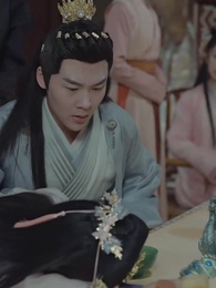 第30集 - 神醫毒妃不好惹