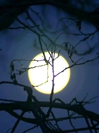 Baharın İzinde - Episode 34