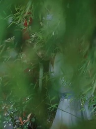 Bölüm 40 - Baharın İzinde