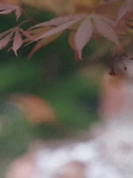 Amor pelas Artes Marciais - Episode 46