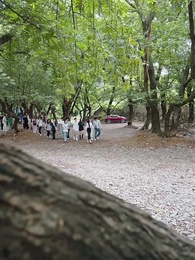 第48集 - 最強髮型師