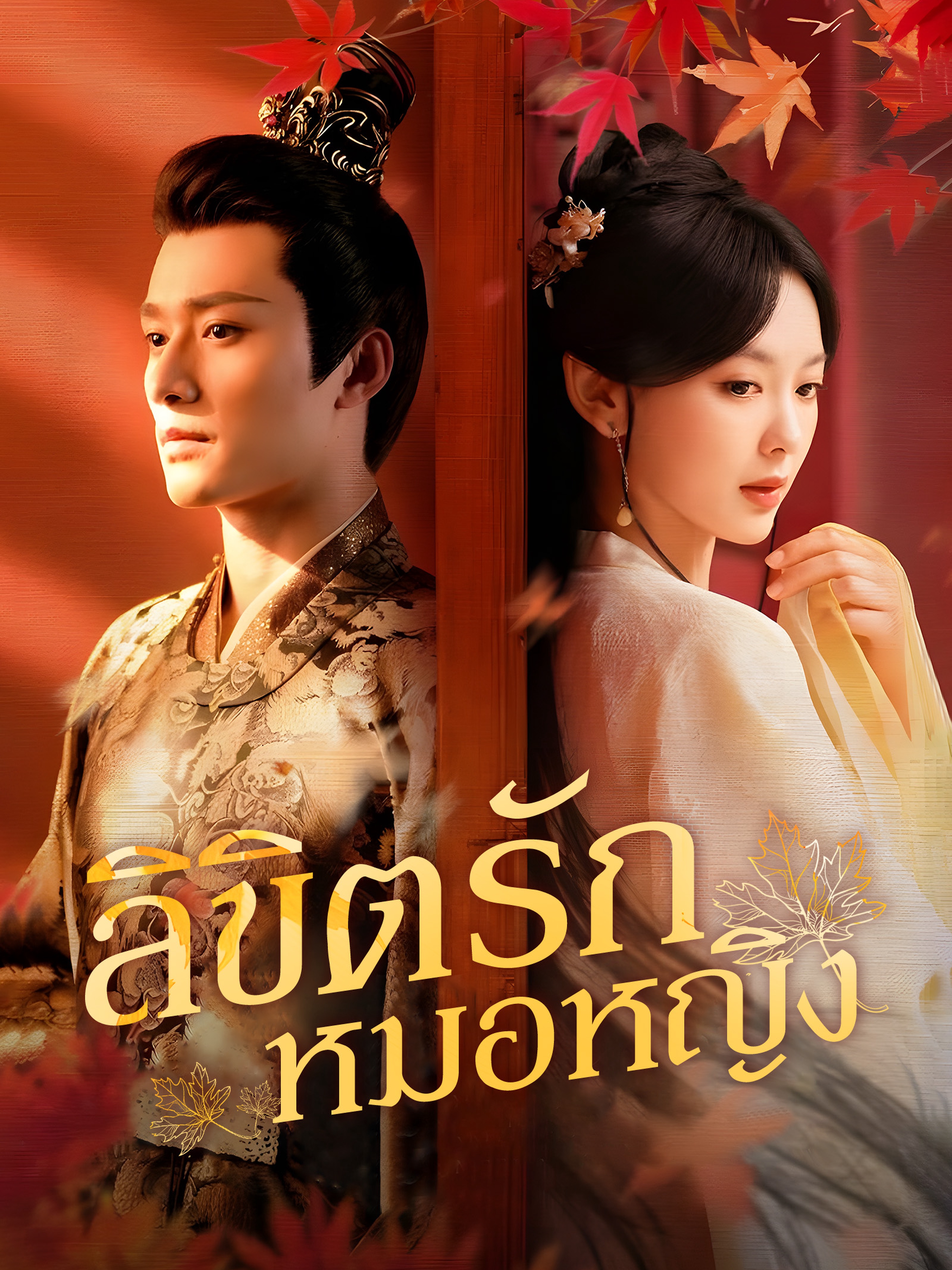 ลิขิตรักหมอหญิง (พากย์ไทย)