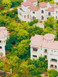 第55集 - 主人歸來