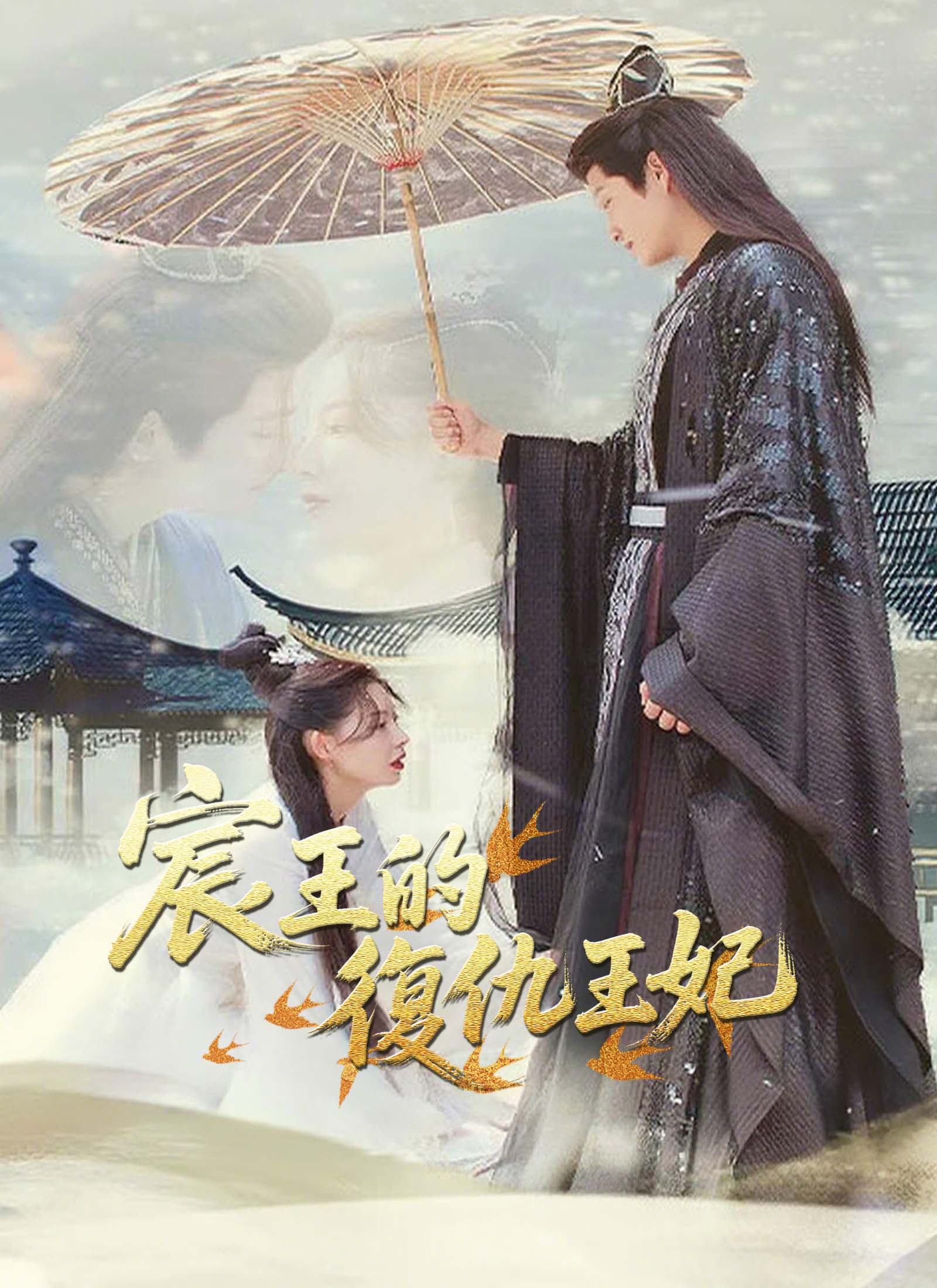 《宸王的復仇王妃》封面