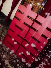 Dragão dos negócios - Episode 1