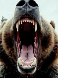 旱災荒年，我福娃帶飛全家 - Episode 28