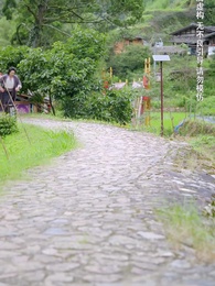 第6集 - 種菜十年，我無敵了