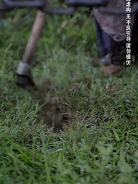 第27集 - 種菜十年,我無敵了