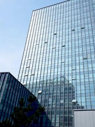 第10集 - 雙生萌寶,媽咪她颯爆了