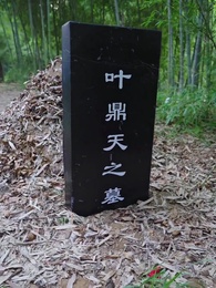 第81集 - 蓋世龍祖