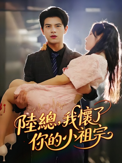 陸總，我懷了你的小祖宗