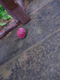 ตอนที่ 41 - ใต้หล้างามเลิศเกินสวรรค์เก้าชั้นฟ้า