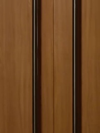 第17集 - 重生2000之我用科技拯救全球