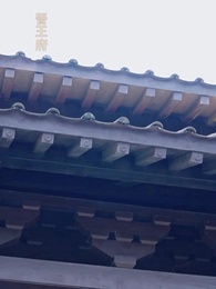 權寵天下：醫妃要休夫 - Episode 63