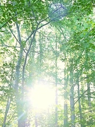 第51話 - スピード婚～若き社長との契約～