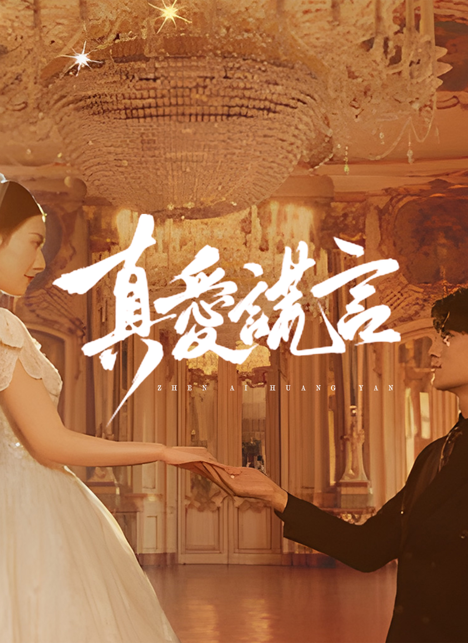 《真愛謊言》封面