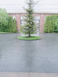 第16話 - スピード婚～若き社長との契約～