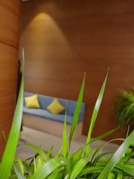 第36集 - 雙生萌寶,媽咪她颯爆了