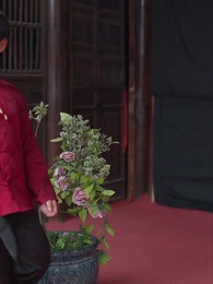 第44集 - 奶兇教頭：七日馴服小紈絝