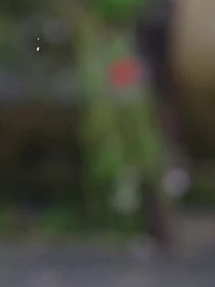 第11集 - 奶兇教頭:七日馴服小紈絝