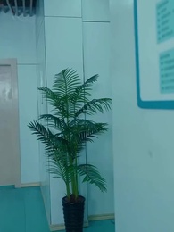 Heir Behind the Mask - Episode 77