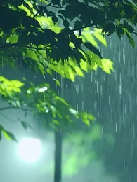 第81集 - 雙生萌寶，媽咪她颯爆了