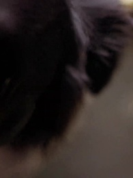 Love Sealed by Twins - Episode 29