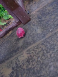 [Dubbed]Mortal Realm Outshines the Divine Realm - Episode 41