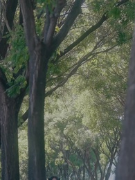 在他深情中隕落 - Episode 24